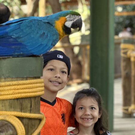 Animalia Park: uma das melhores atrações de São Paulo para curtir em família
