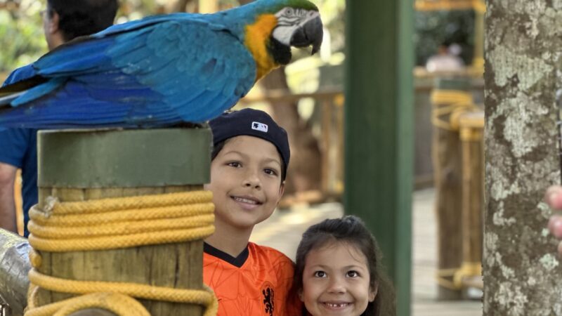 Animalia Park: uma das melhores atrações de São Paulo para curtir em família