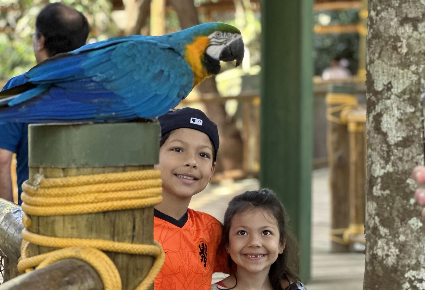 Animalia Park: uma das melhores atrações de São Paulo para curtir em família