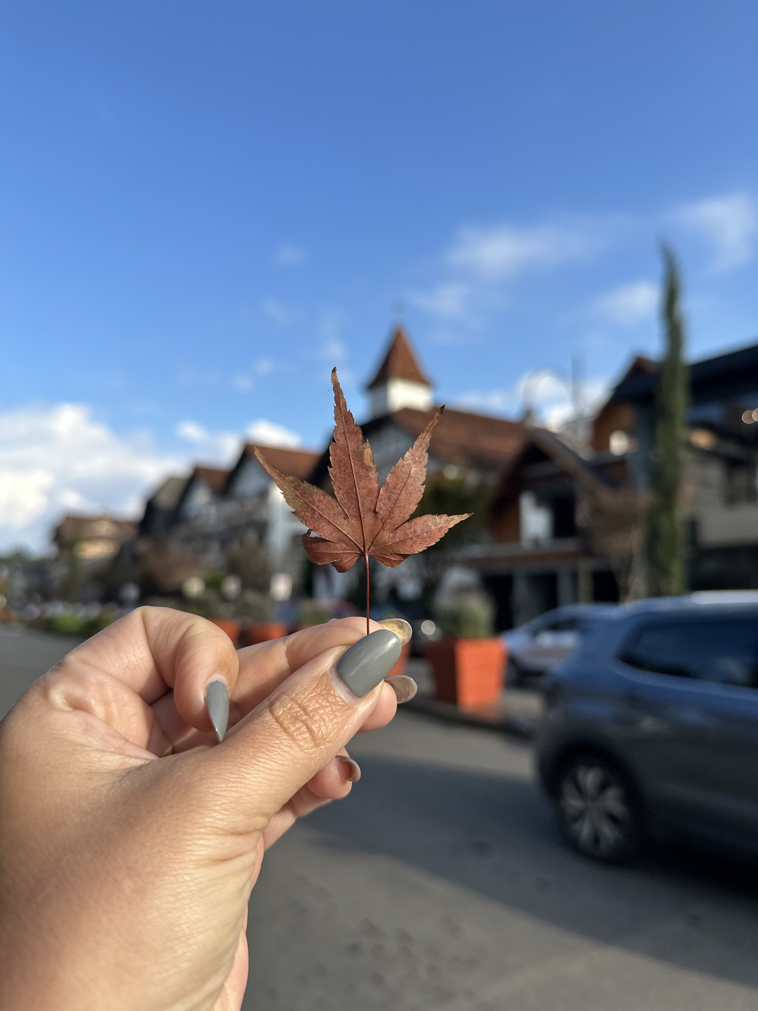 Gramado em família: um destino cheio de encantos